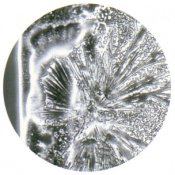 Microscoptic photo showing water with 140 ppm before magnetic treatment